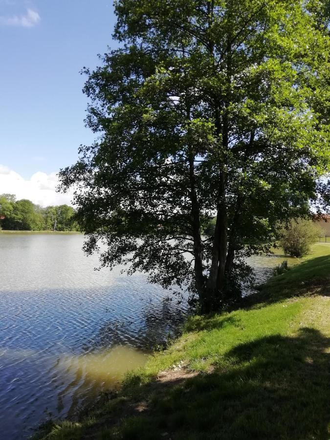 Au Clos De L'Etang Ravel Экстерьер фото